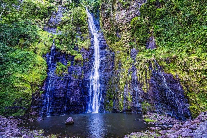 Tahiti 4x4 Mountain Safari: Private 4-Hour Shore Excursion into Papenoo Valley photo 4