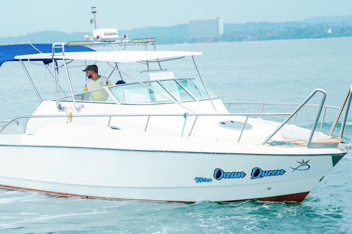 Mirissa Private Luxury Whale-Watching Speedboat: Blue Whales & Dolphins