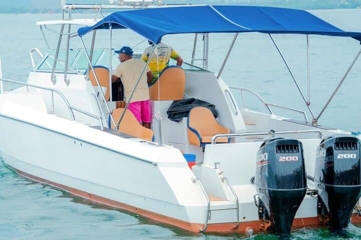 Mirissa Private Luxury Whale-Watching Speedboat: Blue Whales & Dolphins photo 6