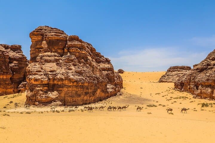Hegra Experience: Explore the Nabatean Tombs of AlUla’s UNESCO Site photo 6