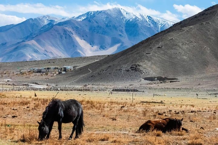 7-Day Private Ladakh Tour: Leh, Nubra, Pangong & Turtuk Itinerary photo 3
