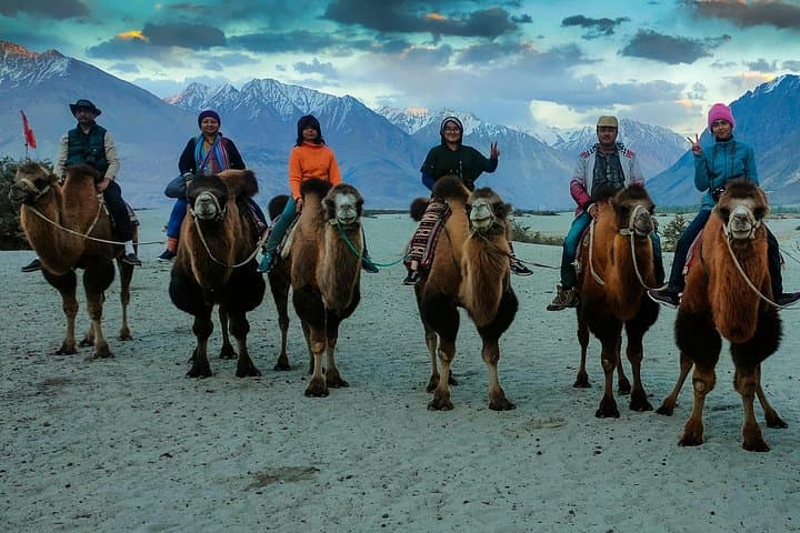 7-Day Private Ladakh Tour: Leh, Nubra, Pangong & Turtuk Itinerary photo 2
