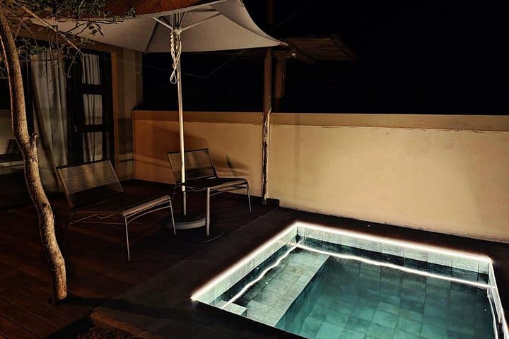 Luxury Ivory Moon Lodge 2-Day Kruger Safari — Big 5 Game Drives from Hoedspruit photo 3