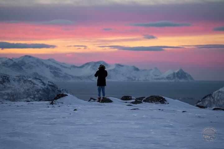 Small-Group Arctic Fjords Road Trip from Tromsø with Scenic Picnic