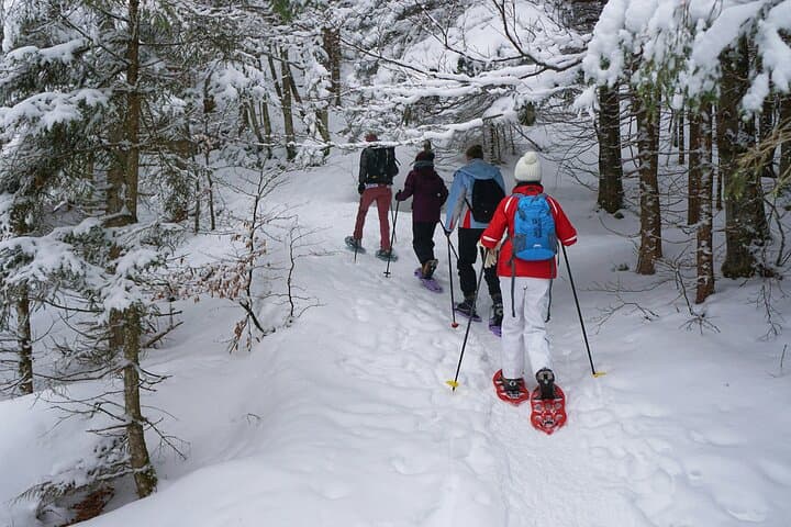 Arctic Snowshoeing: Winter Hike in Lofoten's Valley Views photo 2
