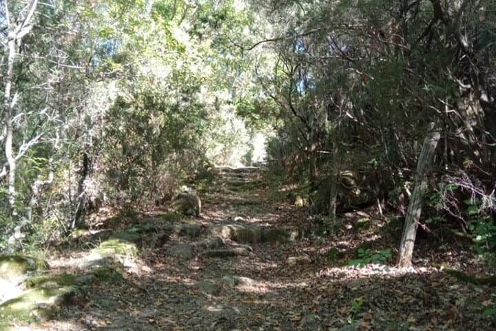 Hike Monte Pintangeli: Tolfa Trek with Cultural Audio Guide Near Rome photo 4