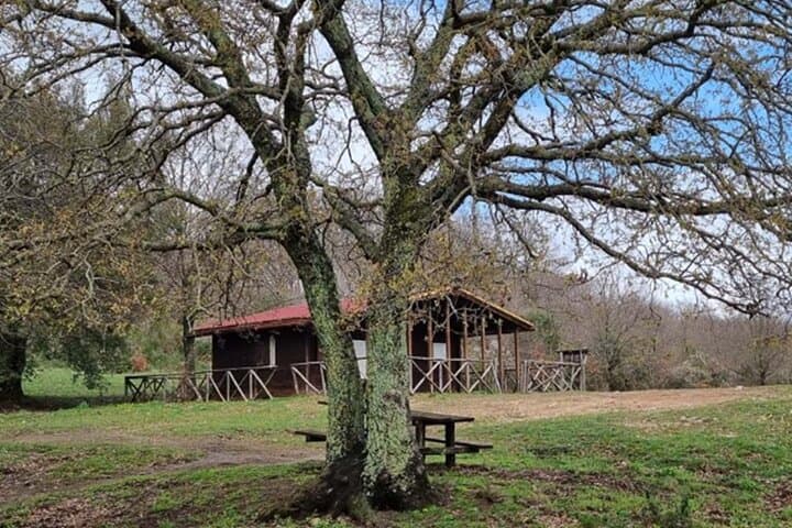 Hike Monte Pintangeli: Tolfa Trek with Cultural Audio Guide Near Rome photo 2