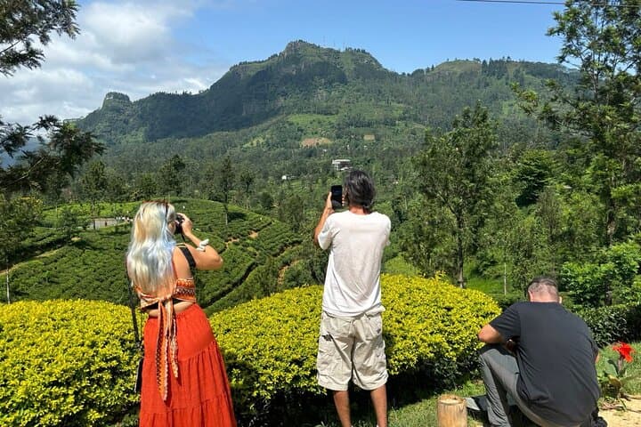 8-Day Private Tour: A Taste of Sri Lanka — Culture, Wildlife & Beaches photo 5