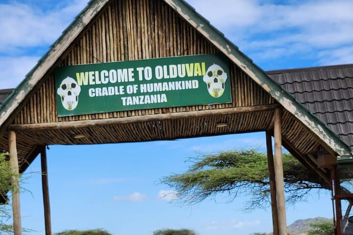 8-Day Best of Tanzania Safari: Materuni Falls to the Serengeti photo 6