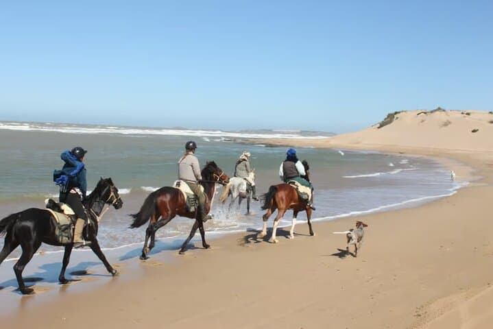 30-Minute Beach Horse Ride in Diabat, Essaouira photo 2