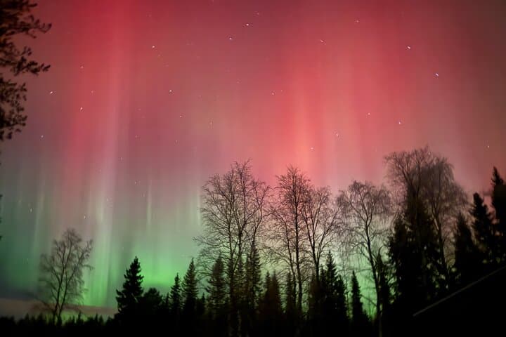 Family-Friendly Northern Lights Tour in Rovaniemi: Evening Aurora Chase photo 3
