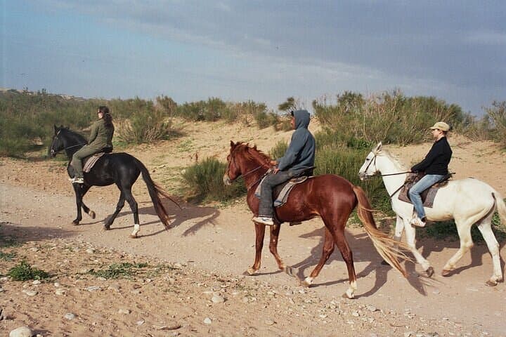 30-Minute Beach Horse Ride in Diabat, Essaouira photo 3