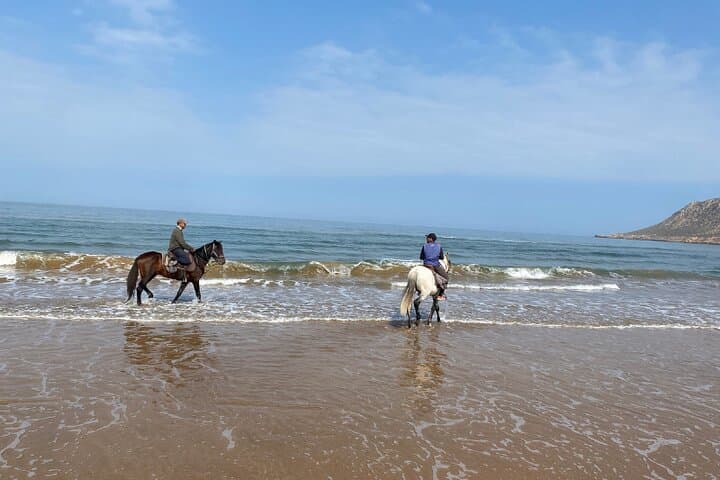 30-Minute Beach Horse Ride in Diabat, Essaouira photo 4