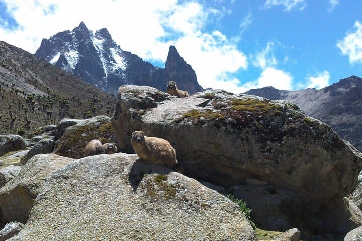 Mount Kenya Trek to Point Lenana: 5-Day Naro Moru to Sirimon Traverse photo 3