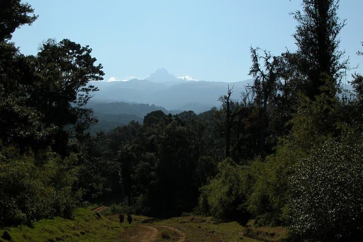 Mount Kenya Trek to Point Lenana: 5-Day Naro Moru to Sirimon Traverse
