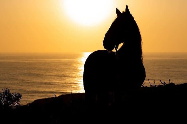 30-Minute Beach Horse Ride in Diabat, Essaouira photo 6