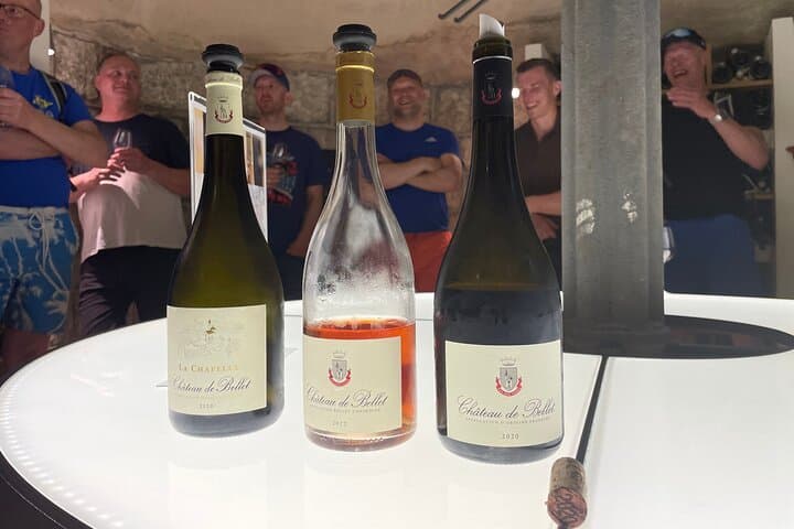 E‑bike Tour of the Bellet Vineyards from Nice — Bike the AOC Bellet and Wine Tasting photo 2