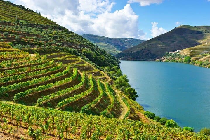 Helicopter Douro Vineyard Tour & Tasting — 4-Hour Porto Escape photo 6