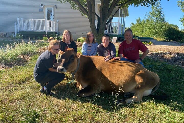 Cow Cuddles in Michigan: Farm Visit & Bovine Therapy Experience photo 5