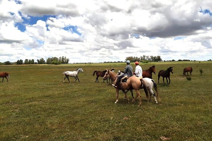 Pampas Gaucho Ride: Horseback Tour and Asado from Buenos Aires photo 1