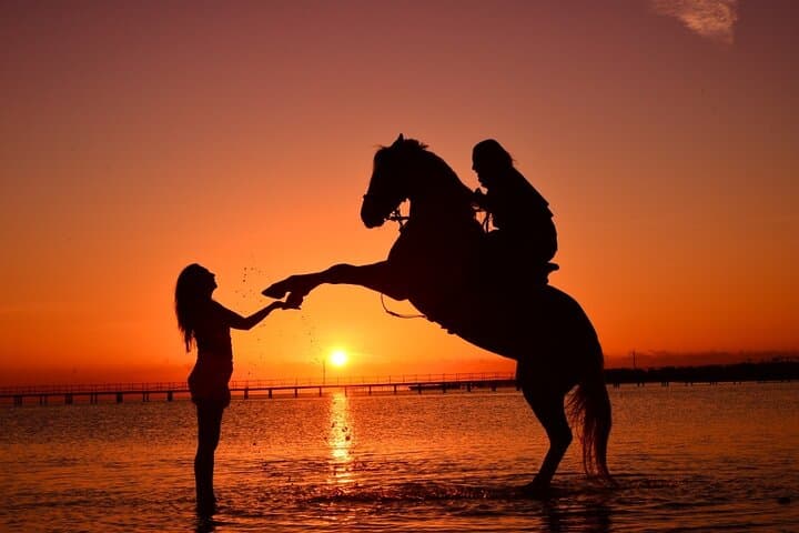 Hurghada Desert and Red Sea Horseback Ride — Beach, Dunes & Optional Swim photo 2