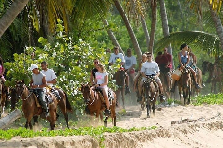 Thrilling Adventures: Ziplining, Buggy Rides, and Horseback in Punta Cana photo 2