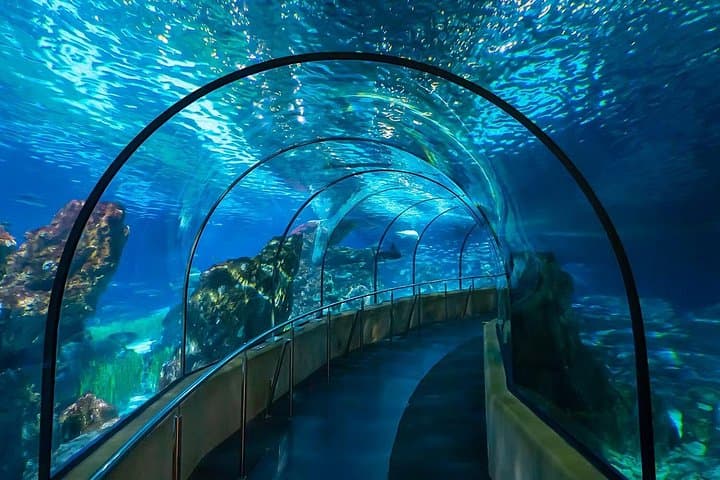 Inside Barcelona Aquarium: Skip-the-Line Tickets for the 80‑Meter Underwater Tunnel