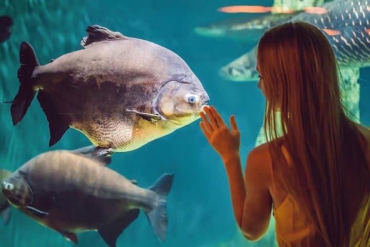 Inside Barcelona Aquarium: Skip-the-Line Tickets for the 80‑Meter Underwater Tunnel photo 2
