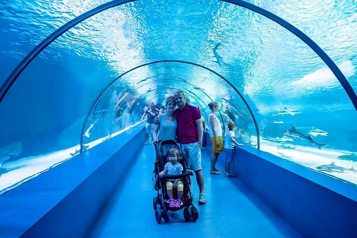 Inside Barcelona Aquarium: Skip-the-Line Tickets for the 80‑Meter Underwater Tunnel photo 5