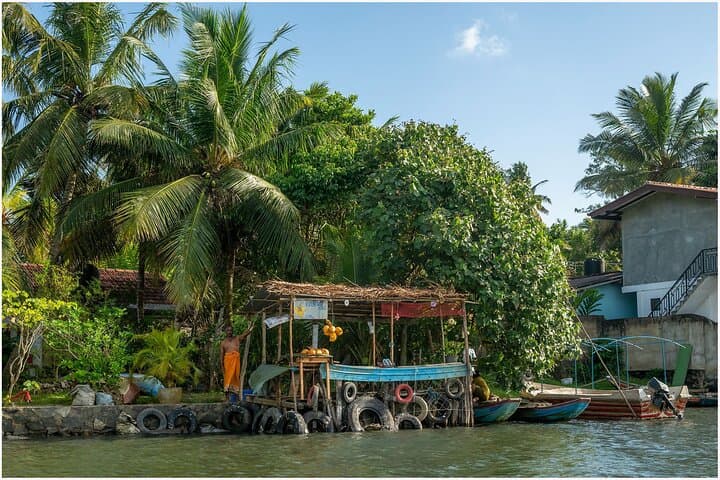 Koggala Lake Boat Safari: Cinnamon Island, Monkey Feeding & Mangrove Channels photo 1