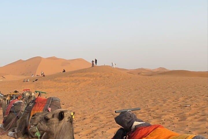 Evening in Agafay Desert: Quad Biking, Camel Ride & Moroccan Dinner from Marrakech photo 6