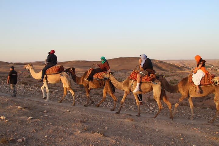 Sunset Camel Ride and Gnawa Dinner Near Marrakech