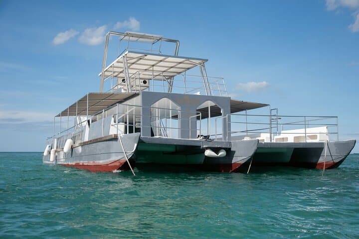 Explore Punta Cana's Coastline on a Private Mega Catamaran Tour photo 5