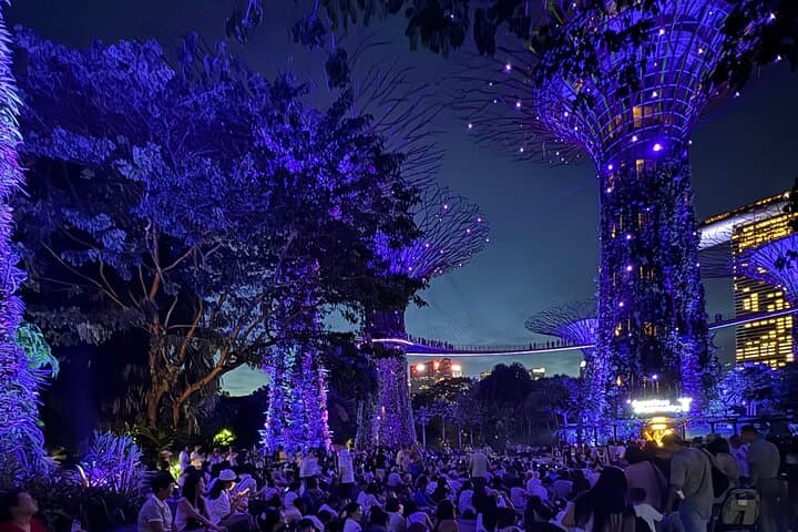 Singapore Night Lights: River Cruise, Garden Rhapsody & Spectra Show photo 1