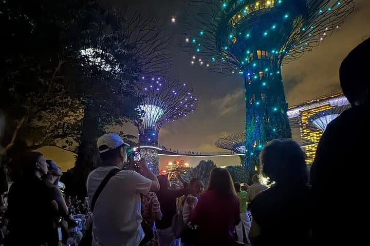 Singapore Night Lights: River Cruise, Garden Rhapsody & Spectra Show photo 2