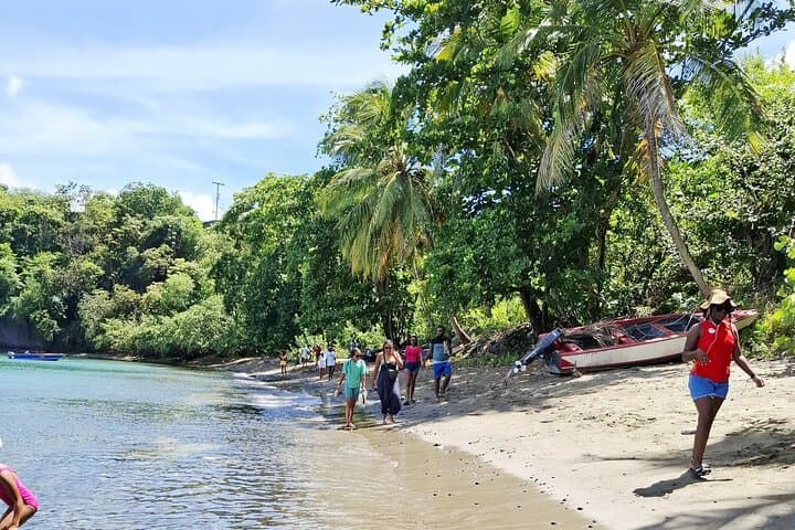 Explore Grenada’s Secret Beaches: Hidden Bays, Snorkel Reefs & Coastal Trails photo 4