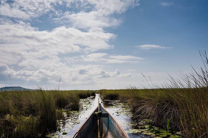 Mabamba Shoebill Private Tour: Shoebill-Spotting Boat Trip from Entebbe photo 5