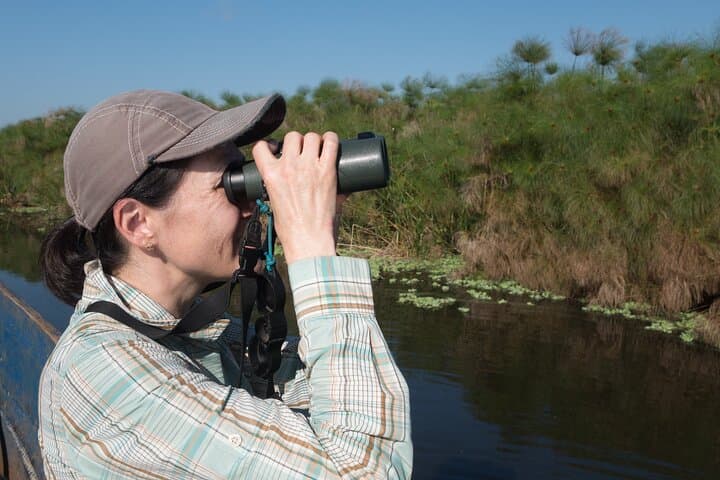 Mabamba Shoebill Private Tour: Shoebill-Spotting Boat Trip from Entebbe