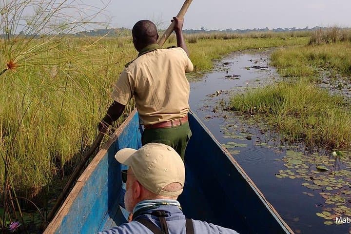 Mabamba Shoebill Private Tour: Shoebill-Spotting Boat Trip from Entebbe photo 4