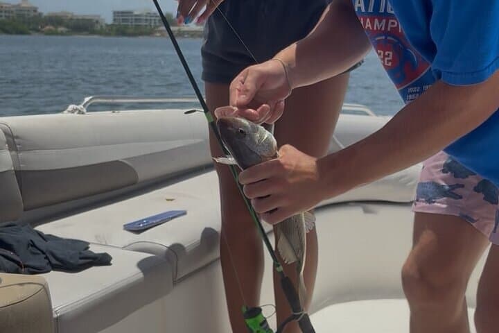 Hands-Free Miami Fishing: 2-Hour Private Biscayne Bay Charter photo 3