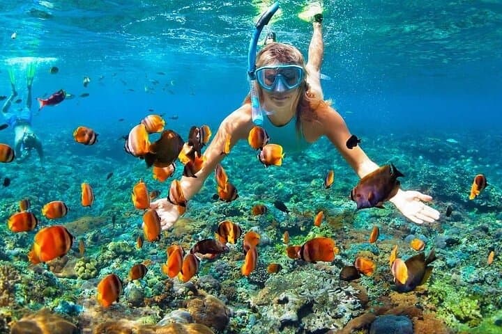 Hilutungan & Pandanon Island Snorkel and Sandbar Day Tour — Cebu photo 2