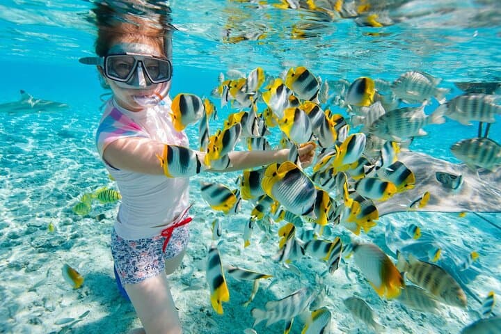 Hilutungan & Pandanon Island Snorkel and Sandbar Day Tour — Cebu photo 3