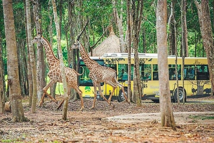 Vinpearl Safari Phu Quoc: Open-Zoo Adventure & VinWonders Combo photo 2