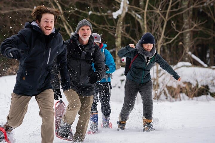 Snowshoeing and Coffee in Takayama: Guided Winter Hike to a Hidden Waterfall photo 1
