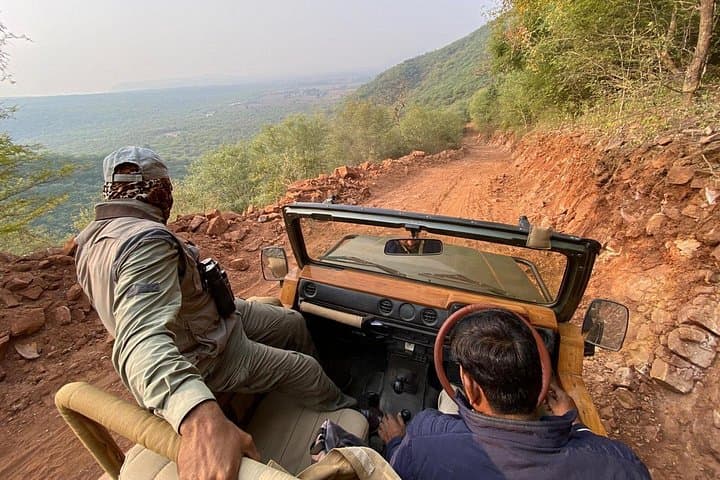 Golden Triangle & Ranthambore: 4-Day Delhi, Agra, Jaipur and Tiger Safari photo 2