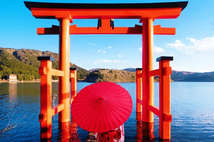 Mt Fuji Cruise and Hakone Ropeway Day Trip from Tokyo: Lake Ashi, Owakudani & Floating Torii photo 2