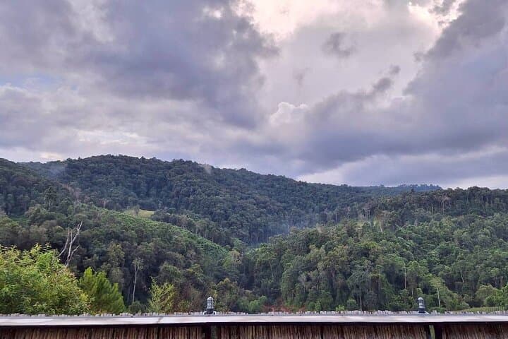 Chiang Mai Afternoon Elephant Observation — Ethical Half-Day Sanctuary Tour photo 5