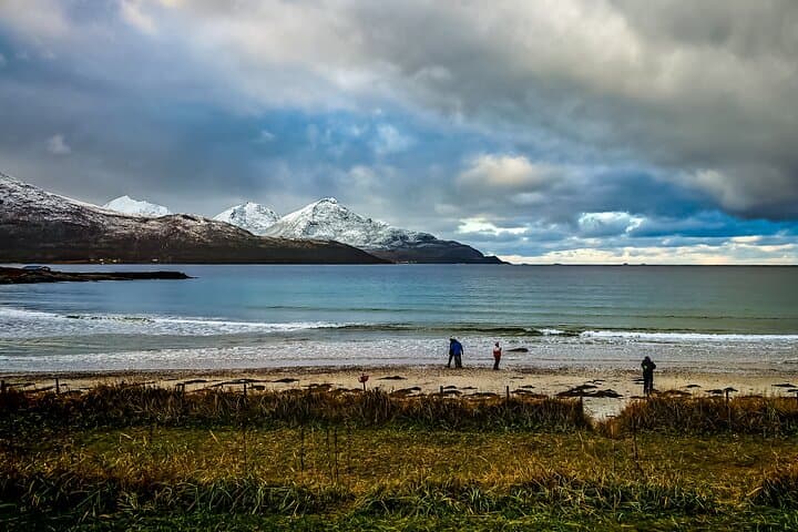 Tromsø Arctic Fjord Tour for Cruise Travelers — Ersfjordbotn, Kvaløya & Photo Stops photo 6