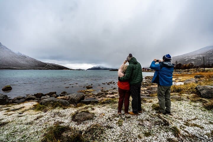 Tromsø Arctic Fjord Tour for Cruise Travelers — Ersfjordbotn, Kvaløya & Photo Stops photo 5