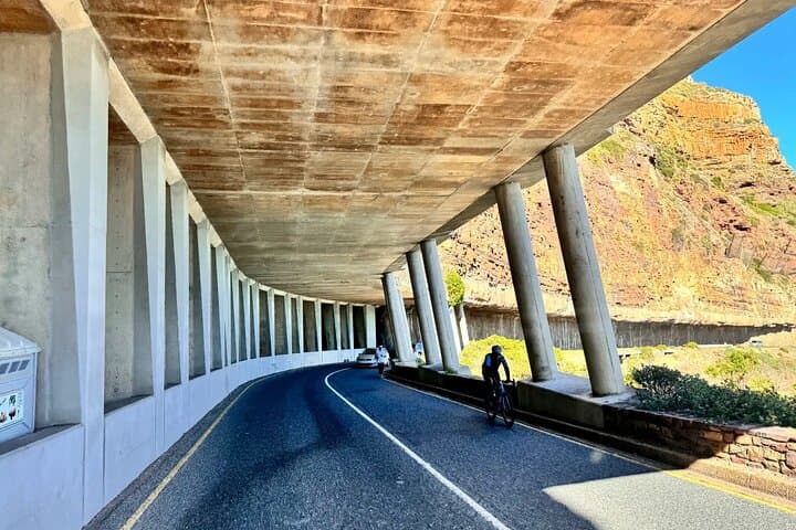 Table Mountain to Boulders: Chapman's Peak, Penguins & Cape Winelands Day Tour photo 2